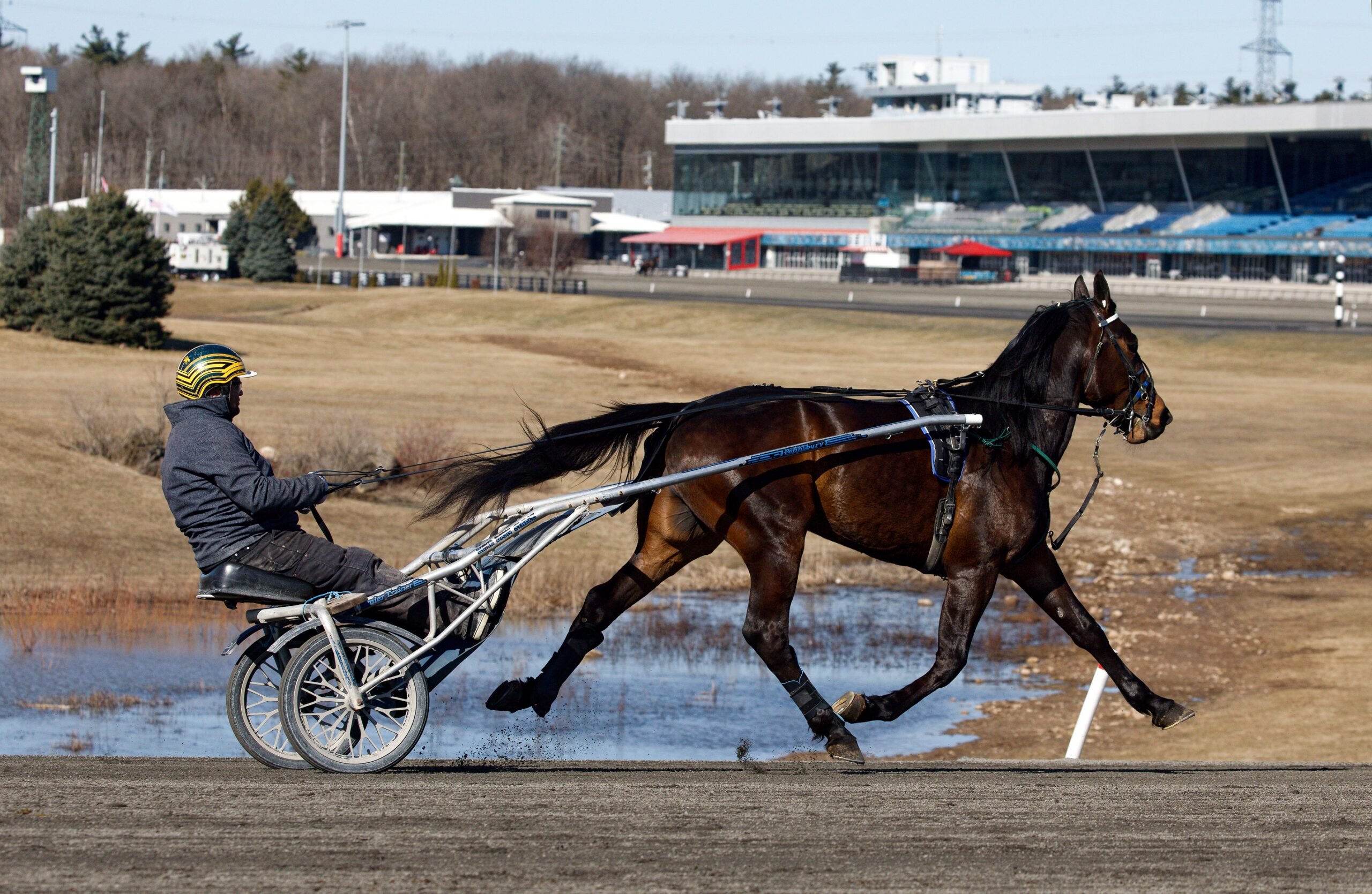 Updated Training and Qualifying Schedule for Woodbine Mohawk Park