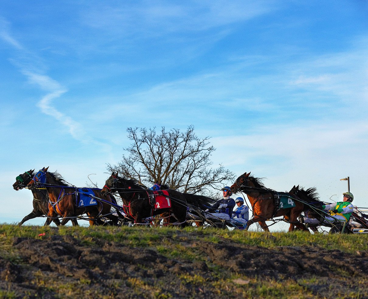 Woodbine mohawk park