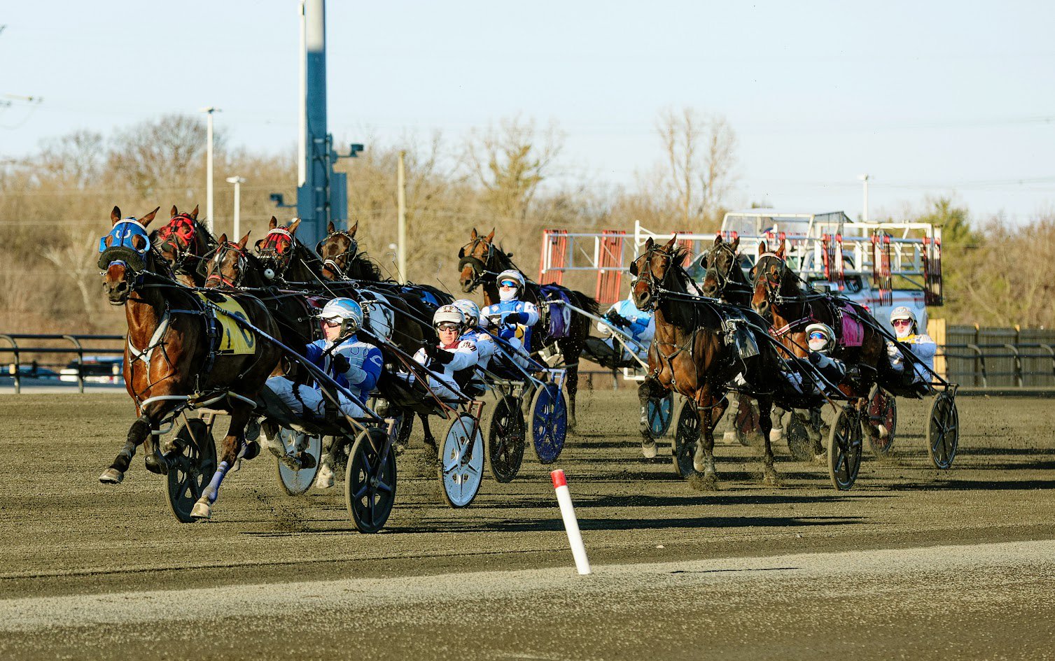 Woodbine releases details for Ontario Sired/Bred Harvest Overnight Series