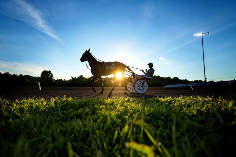 Post Time Adjusted for August 8 at Woodbine Mohawk Park