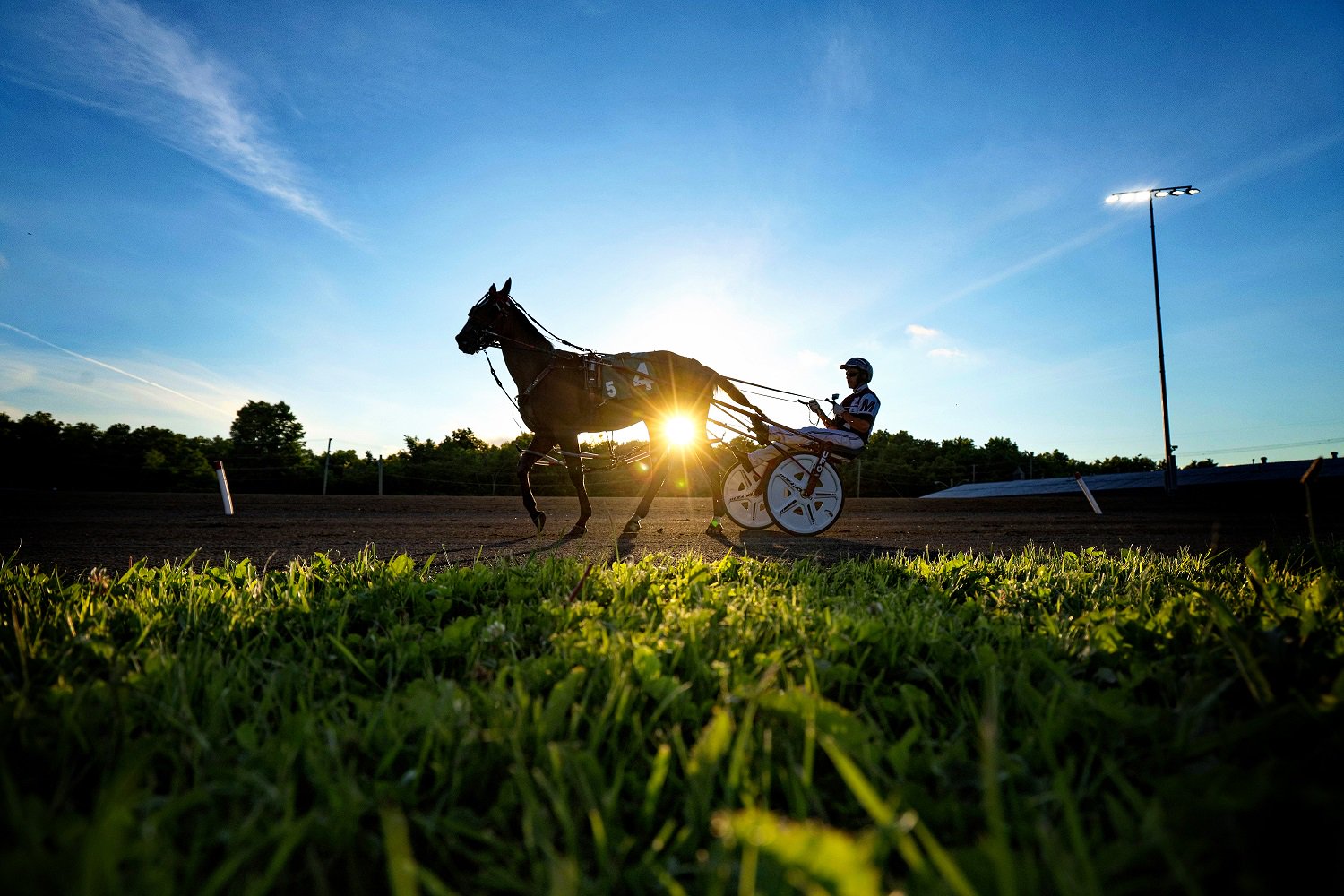 Post Time Adjusted for August 8 at Woodbine Mohawk Park