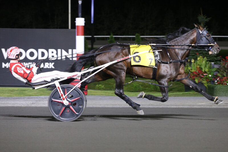 French Wine and Jason Bartlett winning one of Friday's Maple Leaf Trot eliminations. (New Image Media)