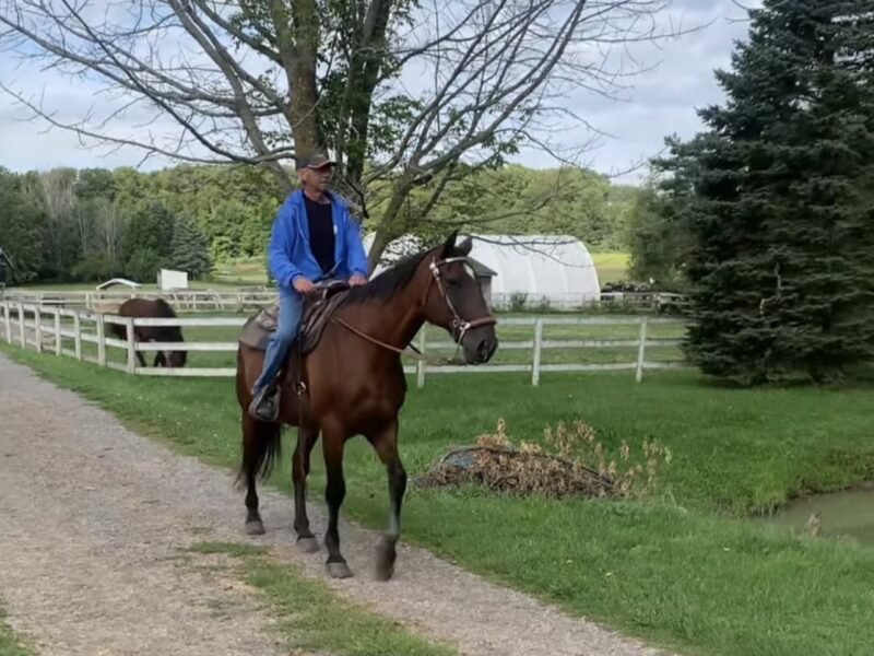 OSAS Pathways: Keystone Edge