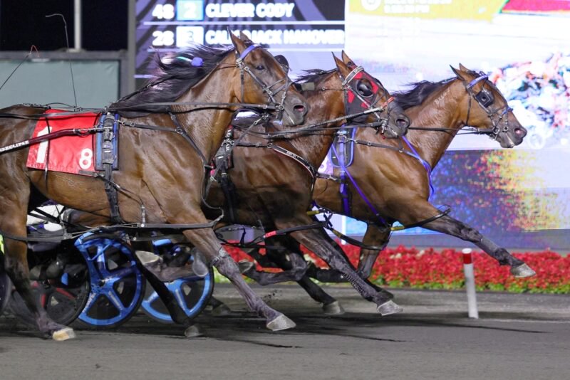 What They're Saying: Canadian Pacing Derby and Maple Leaf Trot