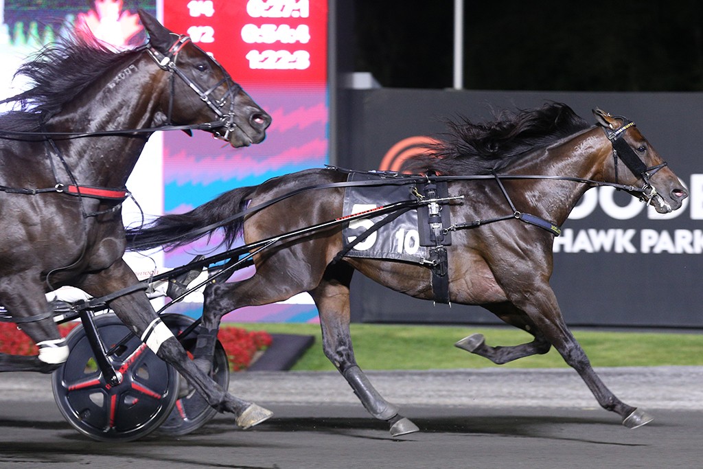 Super Chapter, French Wine Win in Maple Leaf Trot Eliminations