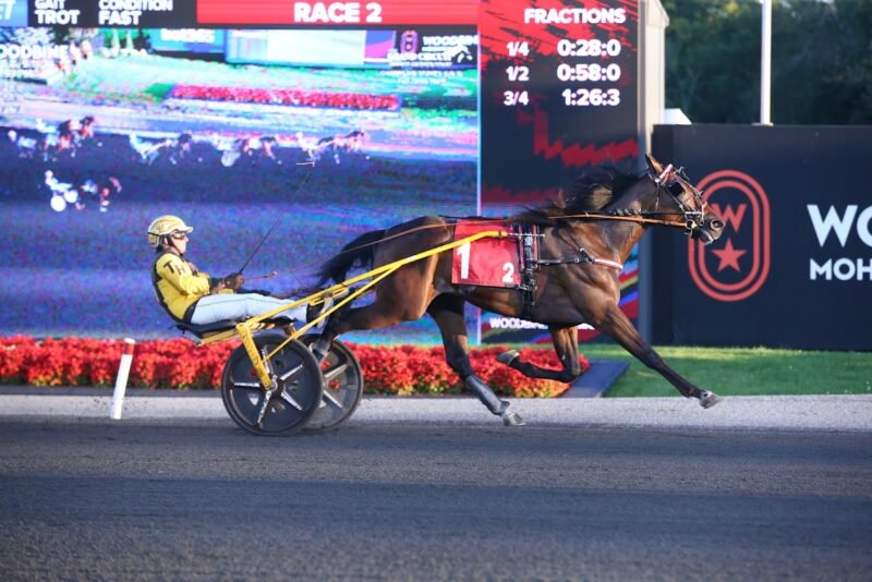 King Of The South and Trevor Henry winning the Grade 3 Champlain. (New Image Media)