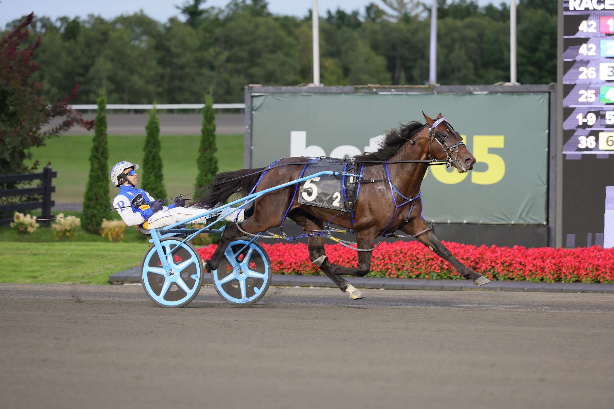 Shalom Hanover winning his Metro Pace elimination. (New Image Media)