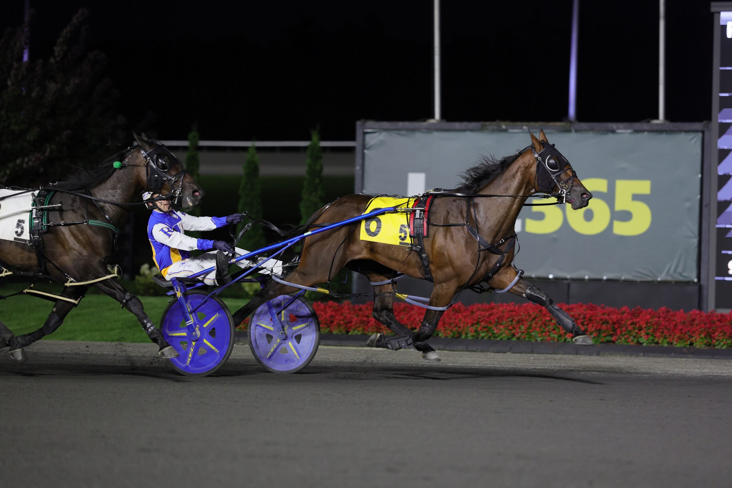 Francent N and driver Louis-Philippe Roy winning the Milton Stakes on September 5, 2026 at Woodbine Mohawk Park (New Image Media)