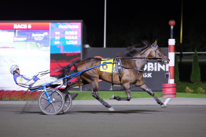 Nuance and driver James MacDonald winning the Elegantimage on September 26, 2026 at Woodbine Mohawk Park (New Image Media)