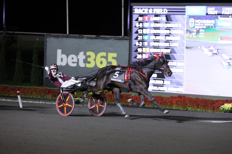 Storybook Love and Todd Ratchford winning the Breeders Crown (G1) last October. (New Image Media)