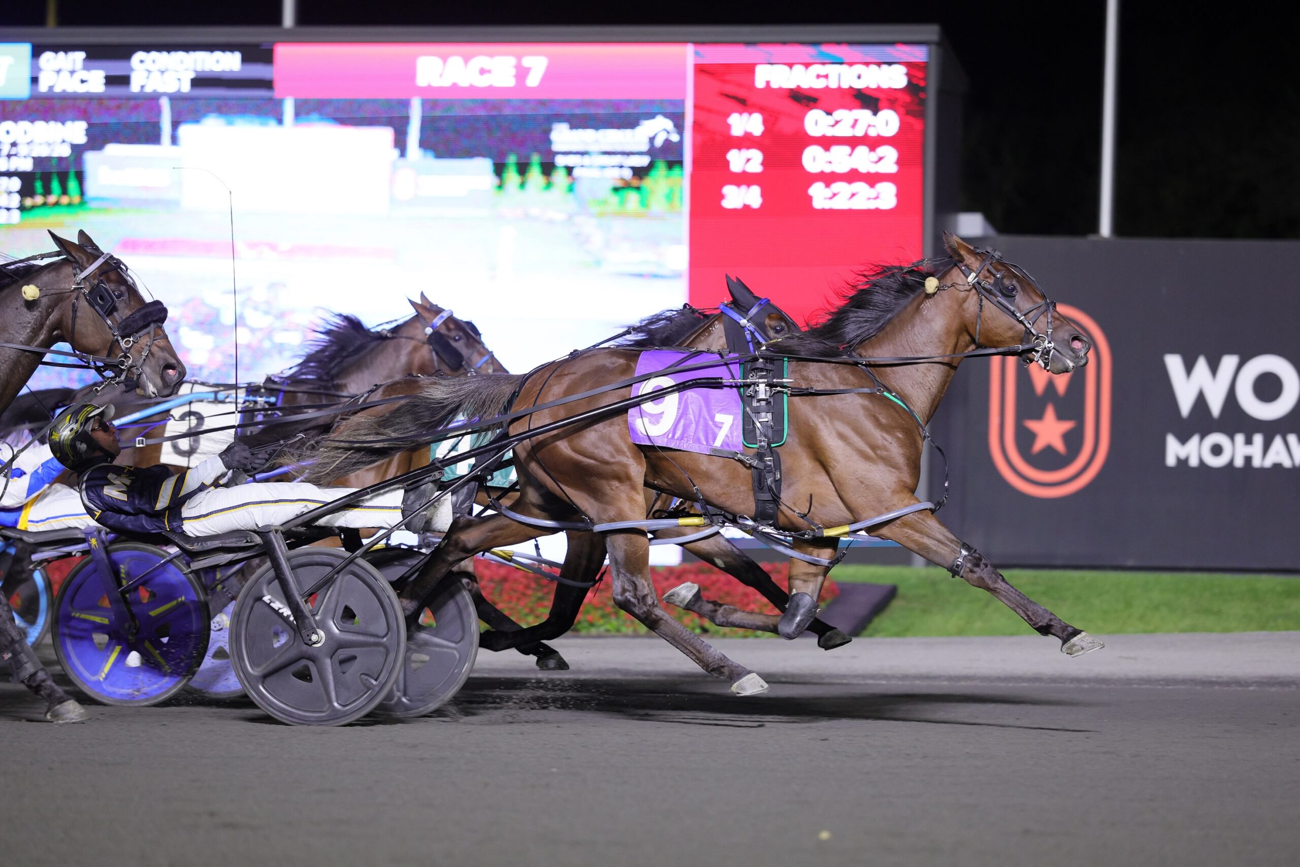Jersey Bulldog and driver Bob McClure winning the Shes a Great Lady Stakes on September 26, 2026 at Woodbine Mohawk Park (New Image Media)