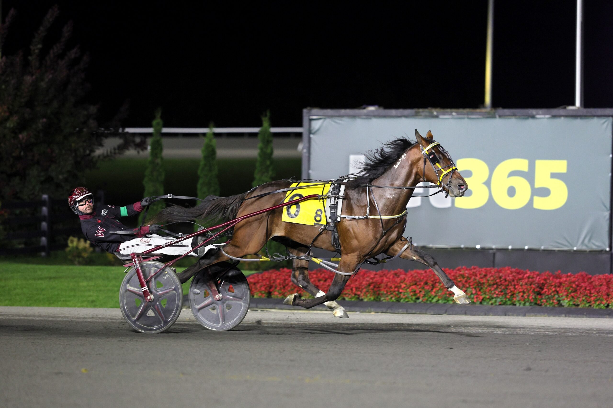 Eastie Boy and driver Ronnie Wrenn Jr. winning the Metro Pace on September 26, 2026 at Woodbine Mohawk Park (New Image Media)