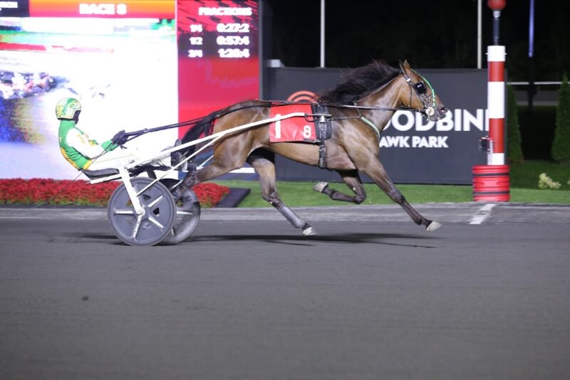 Major Contender and Jody Jamieson winning the Grade 3 Champlain. (New Image Media)