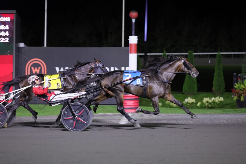Super Chapter and driver Dexter Dunn winning the Maple Leaf Trot on September 5, 2026 at Woodbine Mohawk Park (New Image Media)