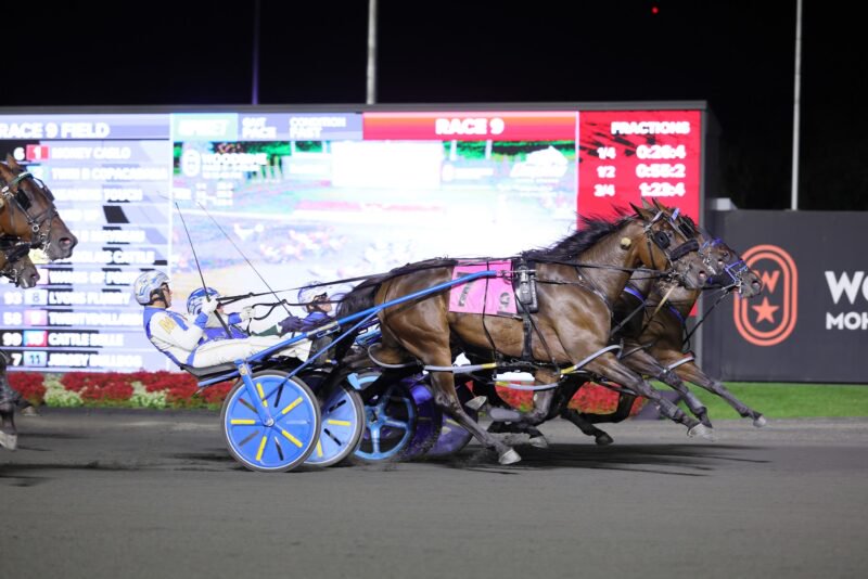 No eliminations for Canadian Trotting Classic, Shes A Great Lady
