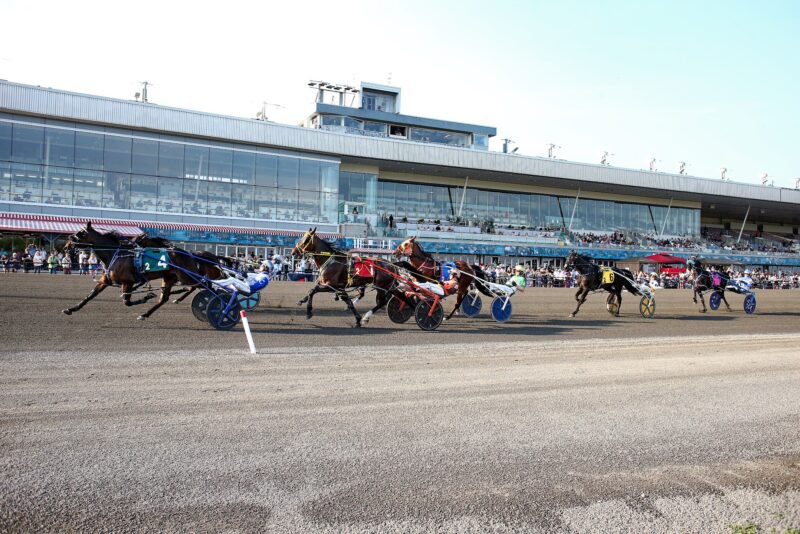Woodbine Mohawk Park to begin search for next Track Announcer