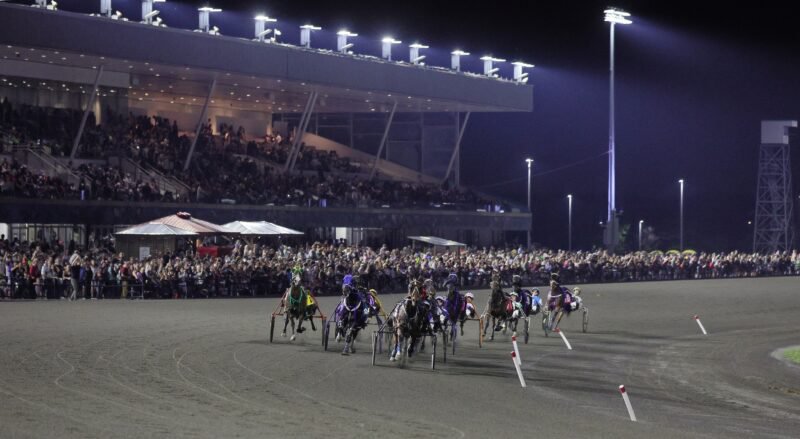 Woodbine Mohawk Park (New Image Media)