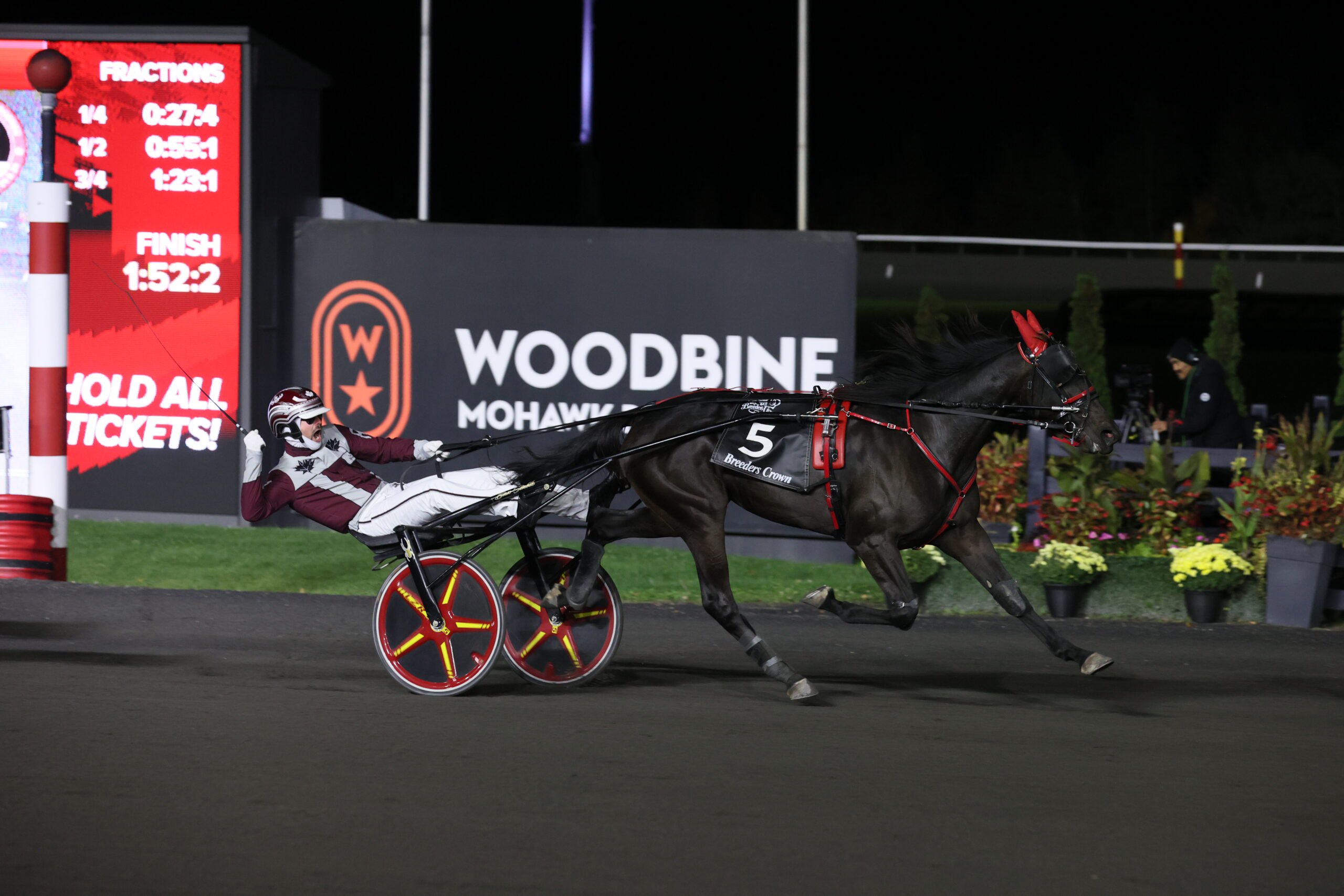 Storybook Love and driver Todd Ratchford winning the Breeders Crown Final for 2-year-old fillies on October 24, 2025 at Woodbine Mohawk Park (New Image Media)