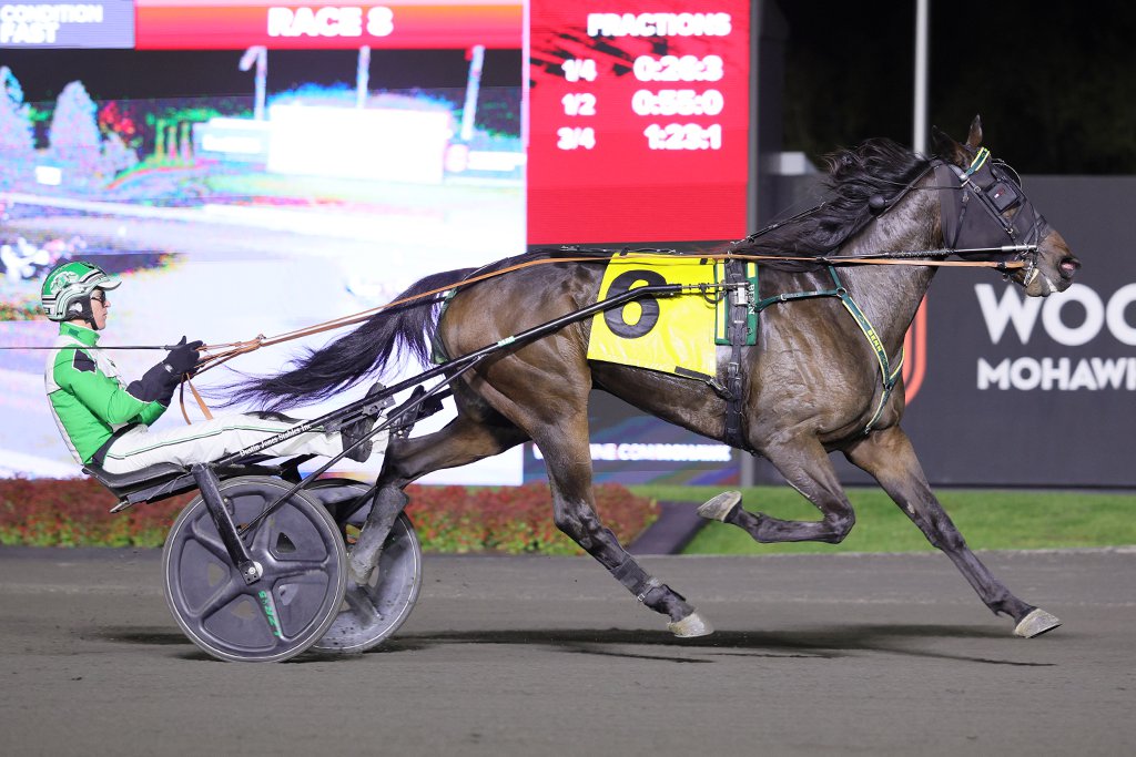 Stormont Shanlyboy and Tyler Jones winning the Harvest Series Final. (New Image Media)