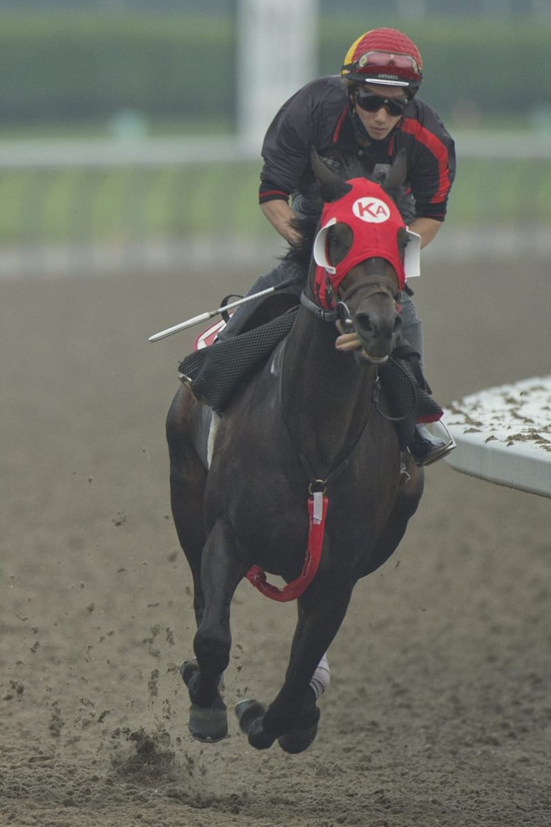 After starting his career in California for Peter Eurton, Harlan Estate looks to capture Canada's most famous race in Sunday's Queen's Plate.