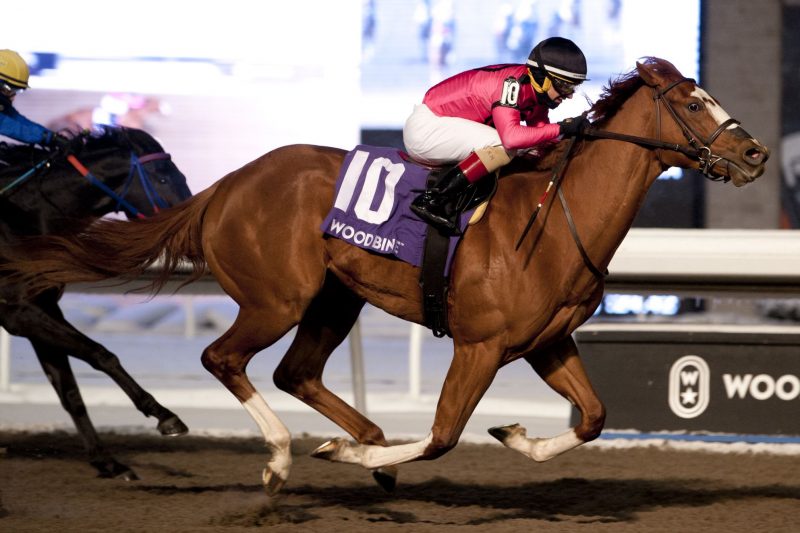 God of Love winning the 2021 Grey Stakes. 