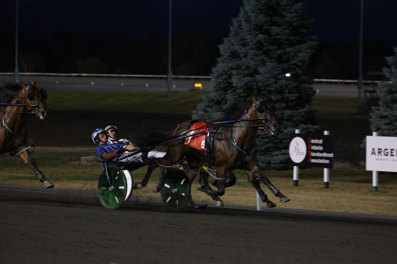 Hungry Angel Boy and Driver Doug McNair winning Race 6 on July 28, 2022 at Woodbine Mohawk Park (New Image Media)