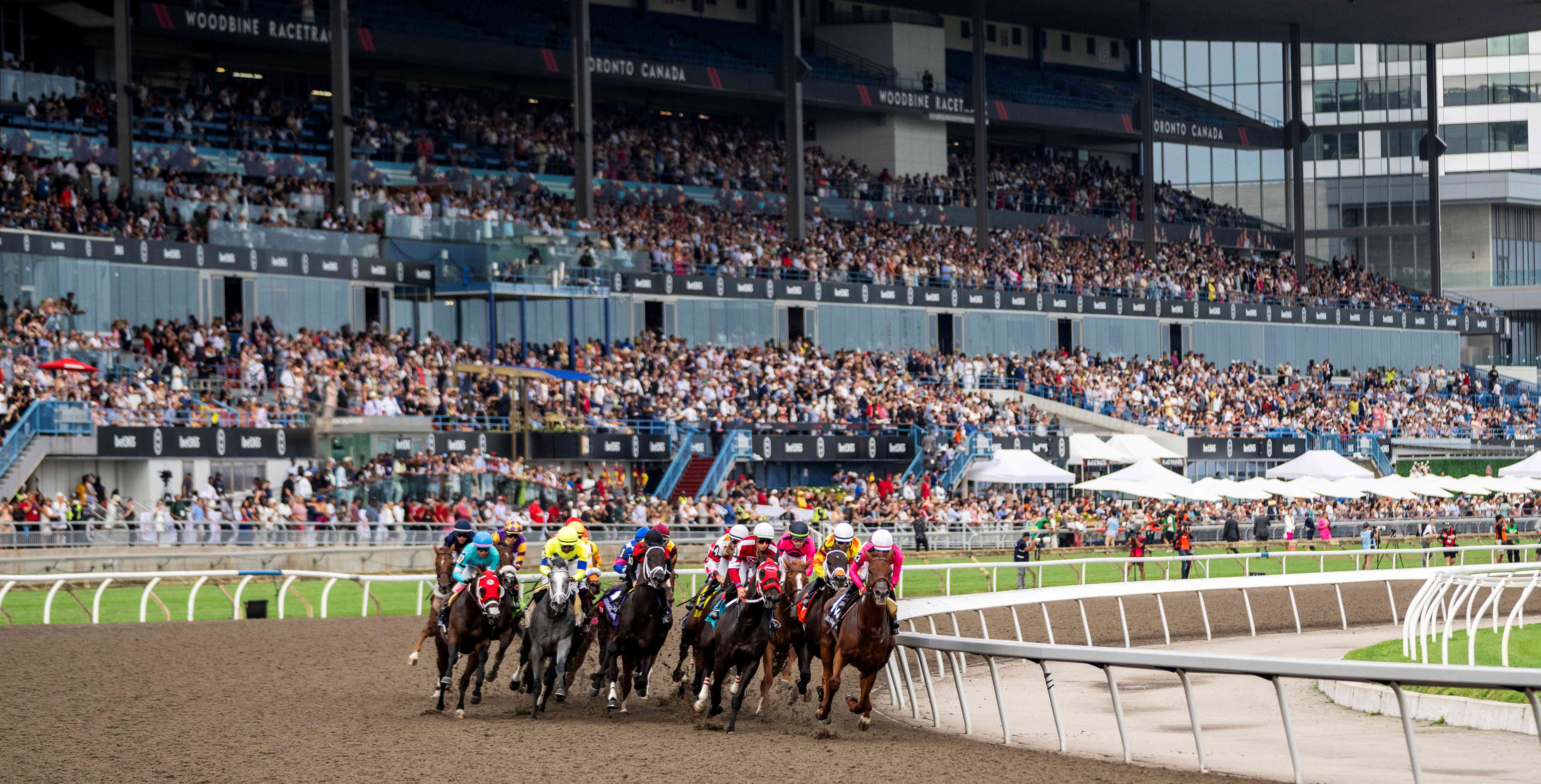 The running of The 164th King's Plate in 2023 at Woodbine (Michael Burns Photo)