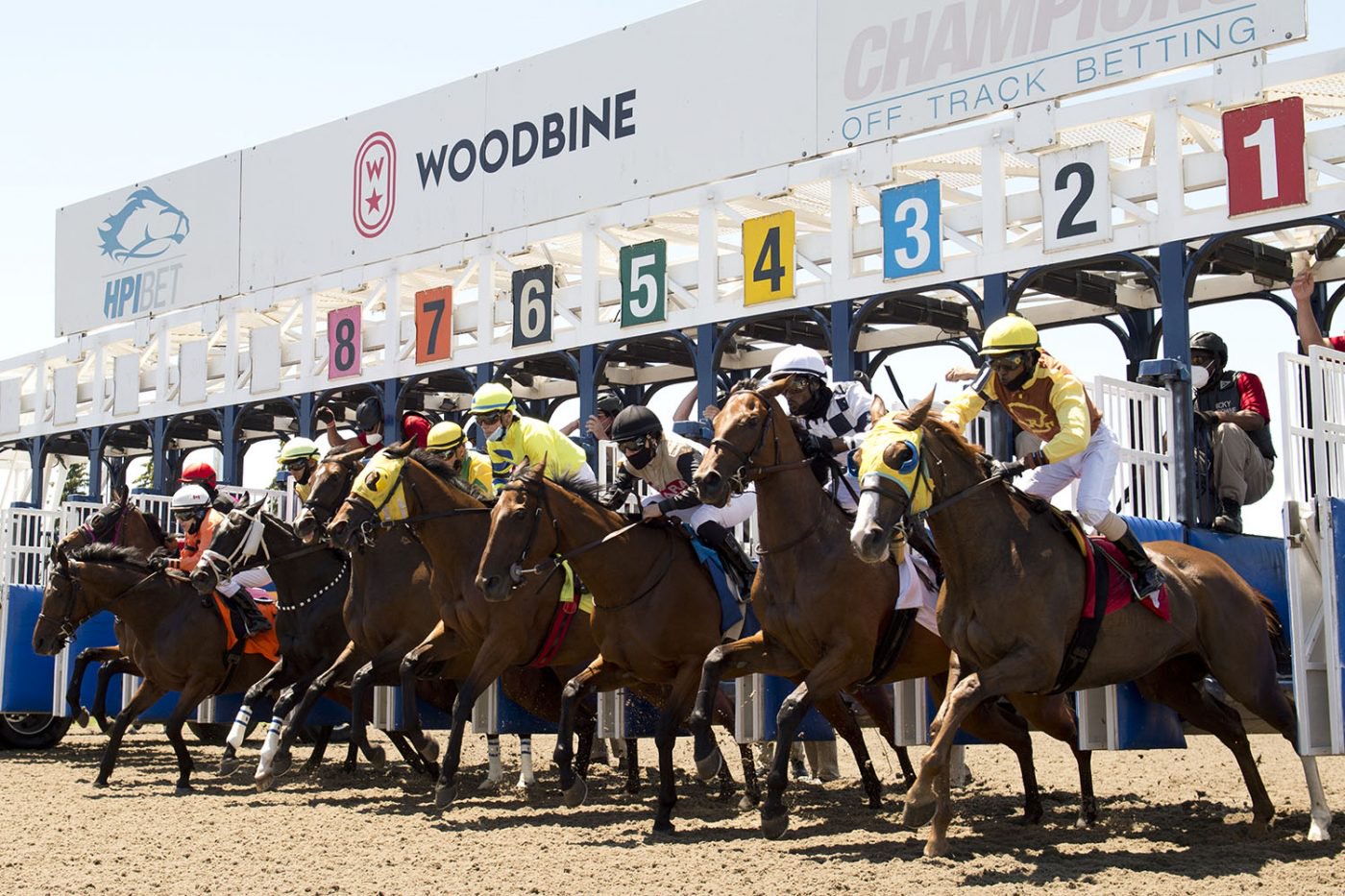 Woodbine back on track with record opening day Woodbine Racetrack