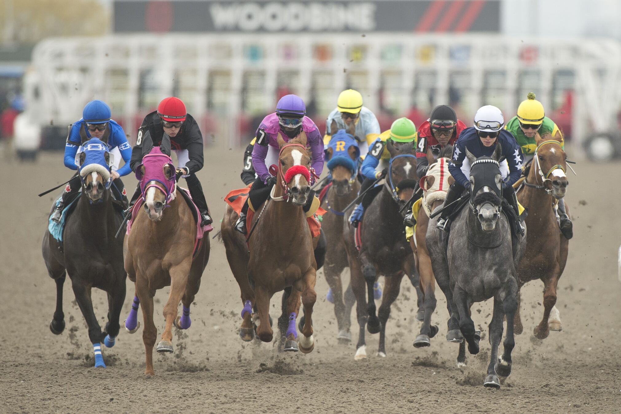 IFHA to hold Global Summit on Equine Safety and Technology at Woodbine