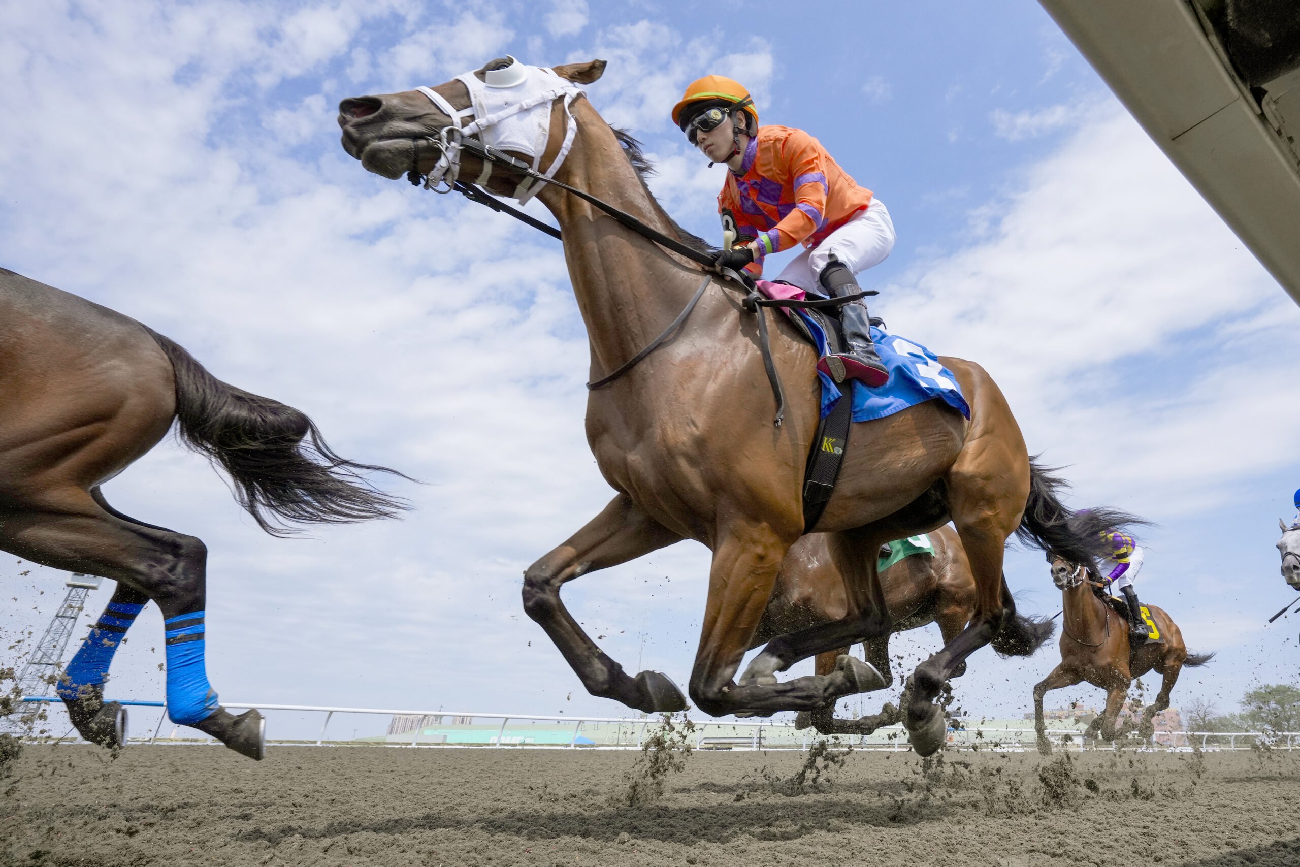 ICYMI: Standout Showings from California to Florida with Stops In ...