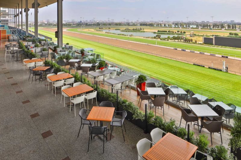 A view from of the tracks from Stella Artois Terrace at Woodbine Racetrack.