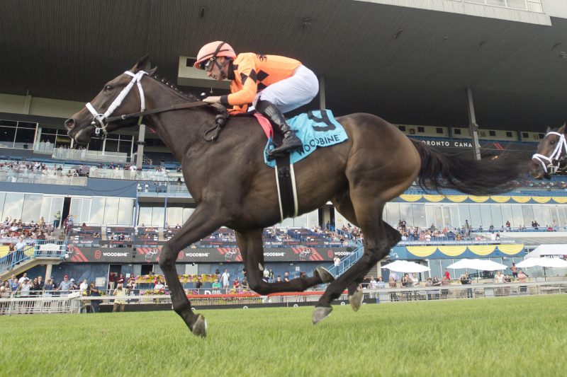 Mohawk Trail and jockey Adam Beschizza winning the Ontario Colleen Stakes on July 22, 2023 at Woodbine (Michael Burns Photo)