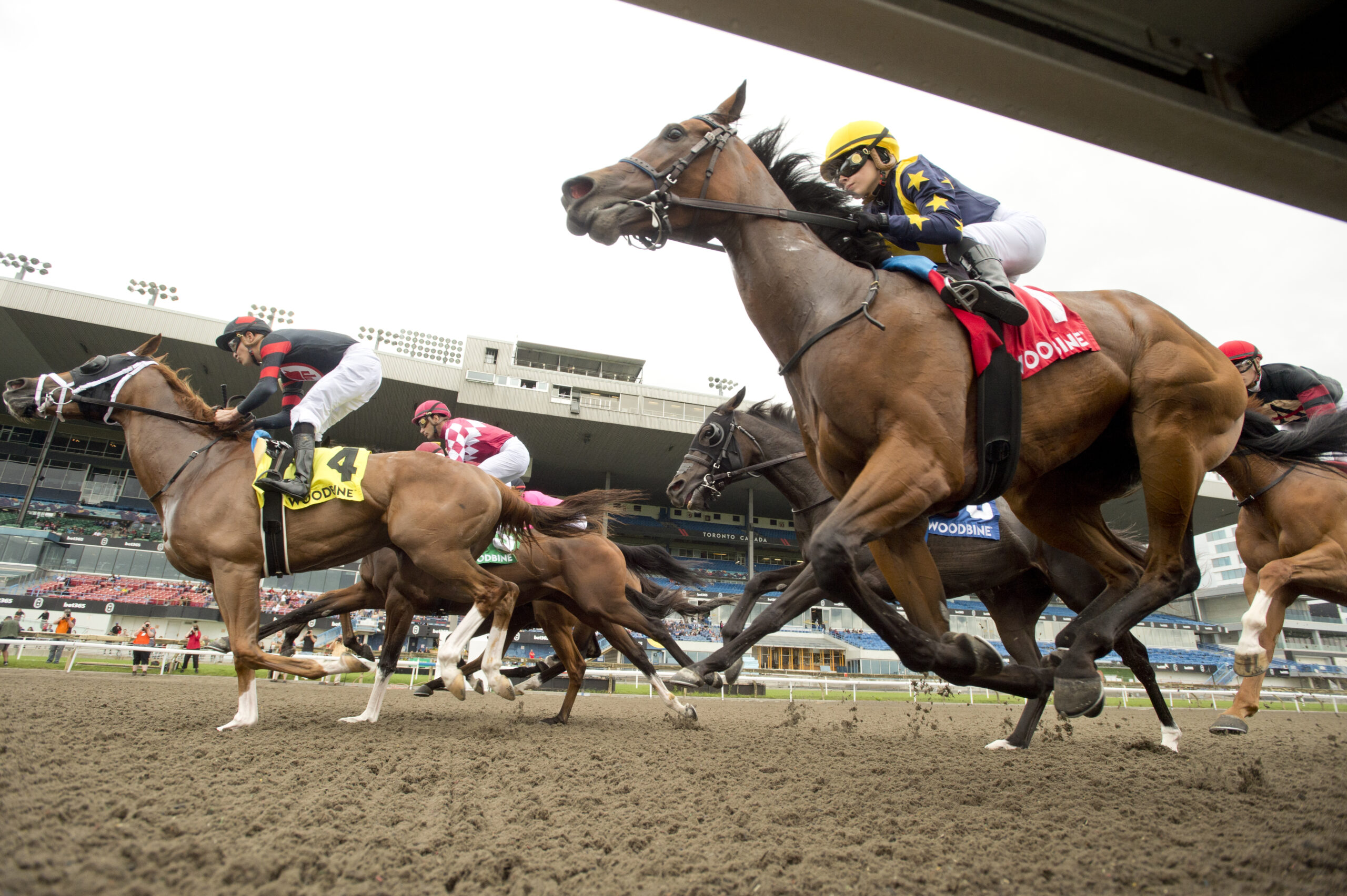 High Stakes Racing ICYMI: Favourites Outshined Across the Board over High Stakes Weekend ...