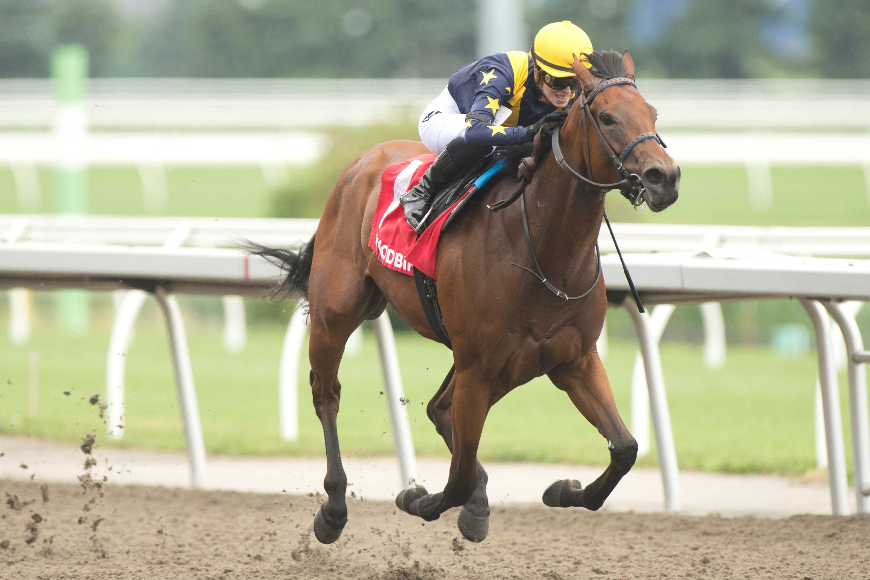 Sabatini simply sensational in Grade 3 Selene – Woodbine Racetrack