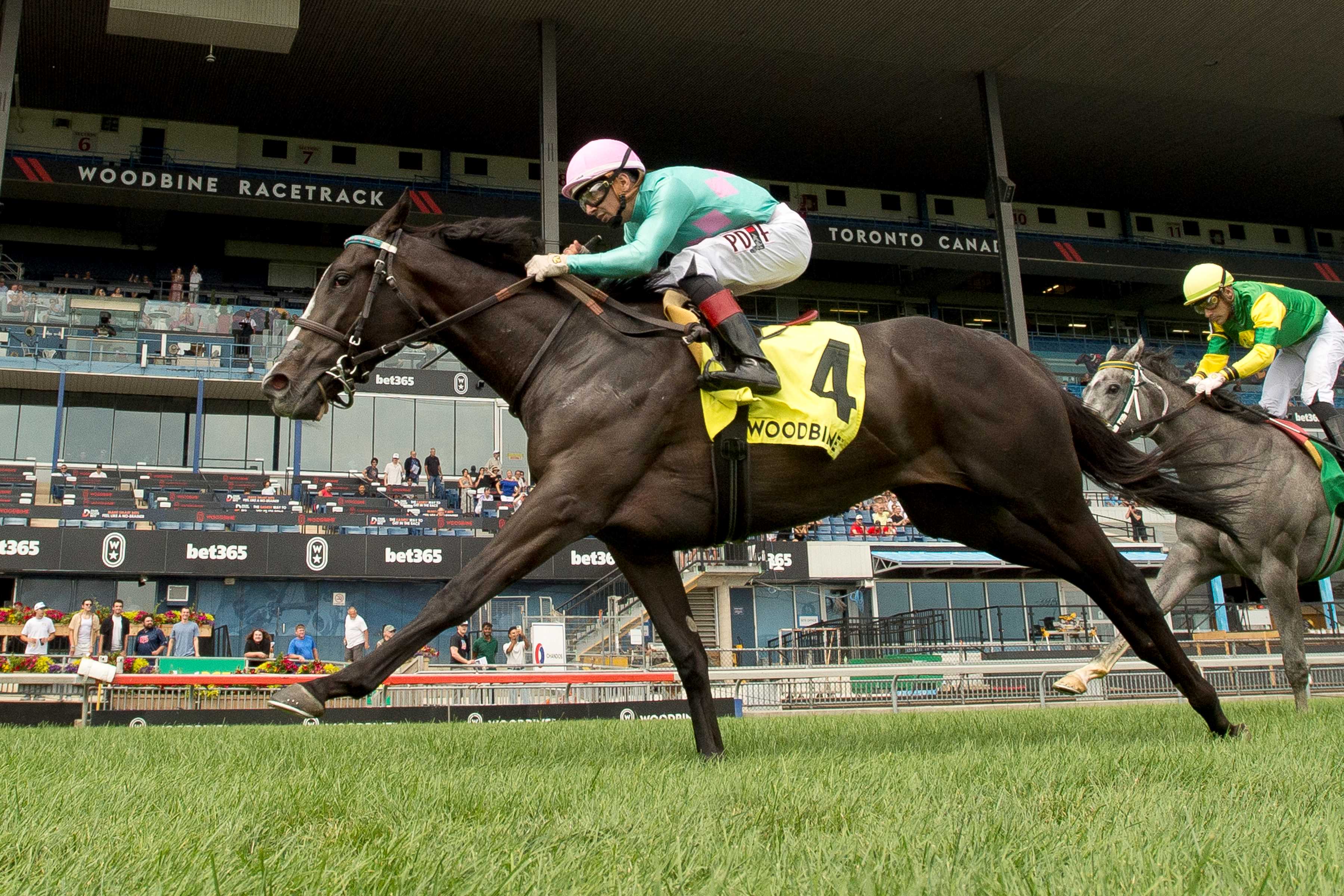 Olivia Rose and jockey Rafael Hernandez winning the Thunder Bay Stakes on August 4, 2024 at Woodbine (Michael Burns Photo)