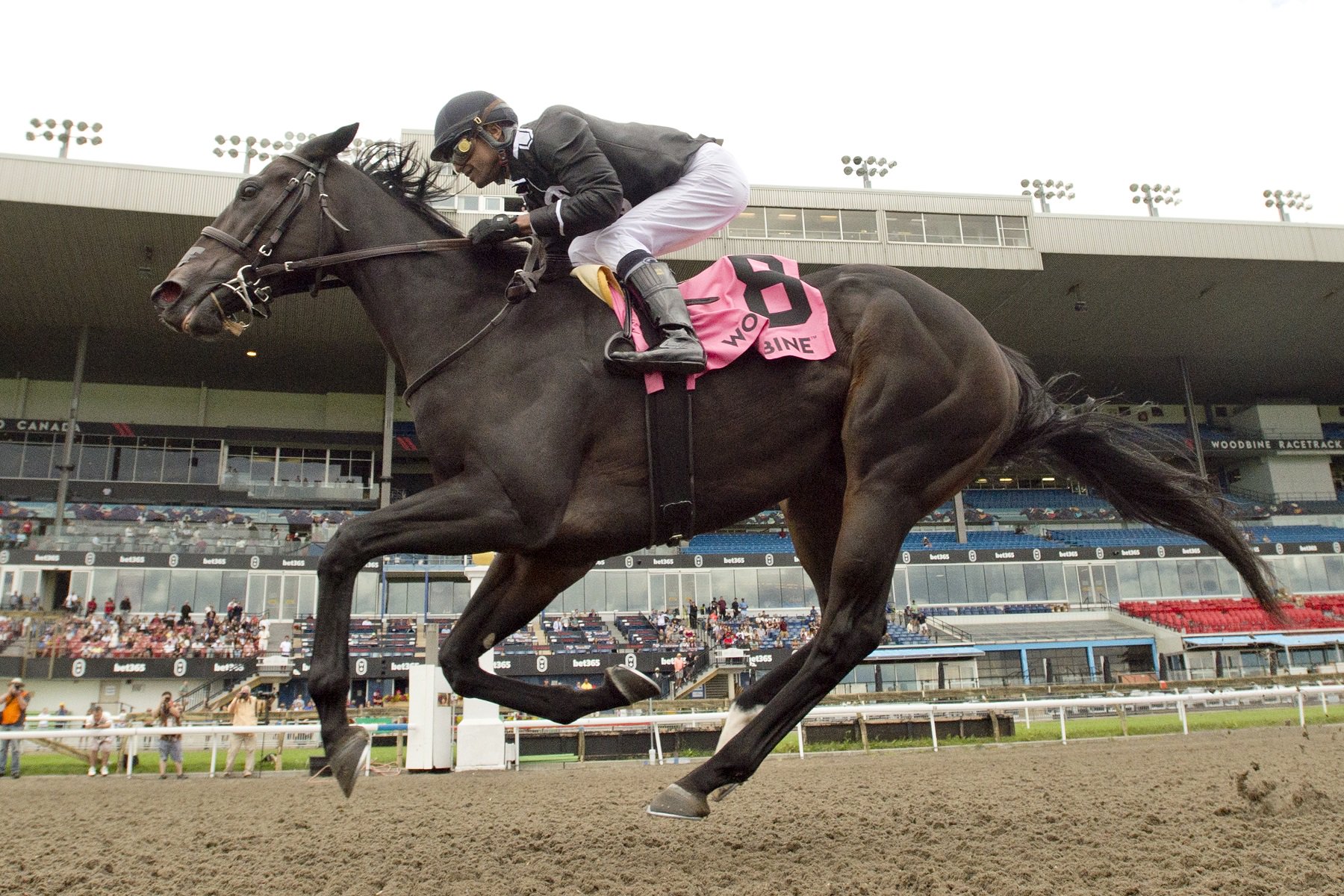 Stormcast and jockey Patrick Husbands winning the Bison City Stakes on August 10, 2024 at Woodbine (Michael Burns Photo)