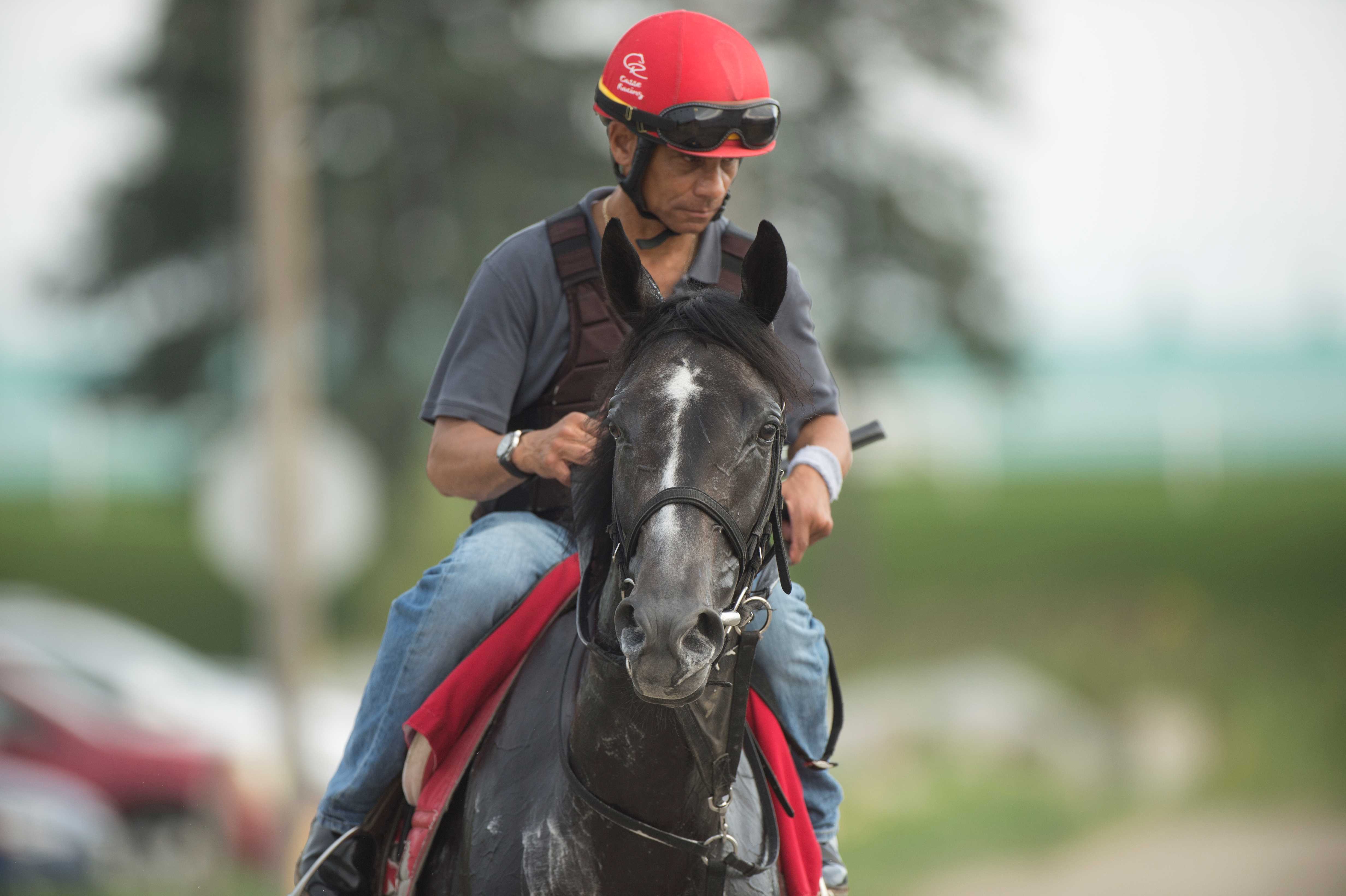 Swift Delivery training at Woodbine (Michael Burns Photo)