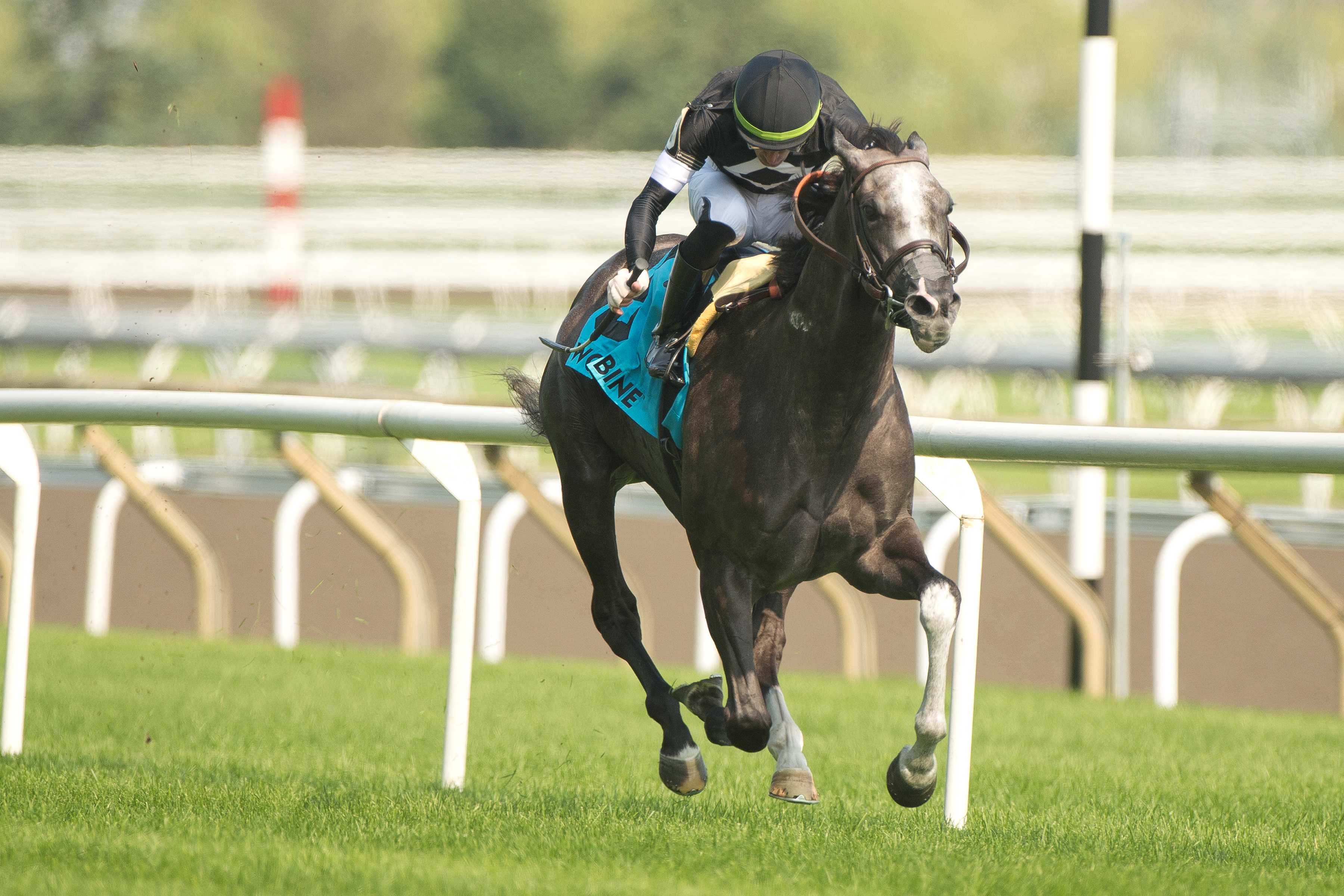 Time to Dazzle and jockey Sahin Civaci winning the Ontario Colleen Stakes (G3) on July 27, 2024 at Woodbine (Michael Burns Photo)
