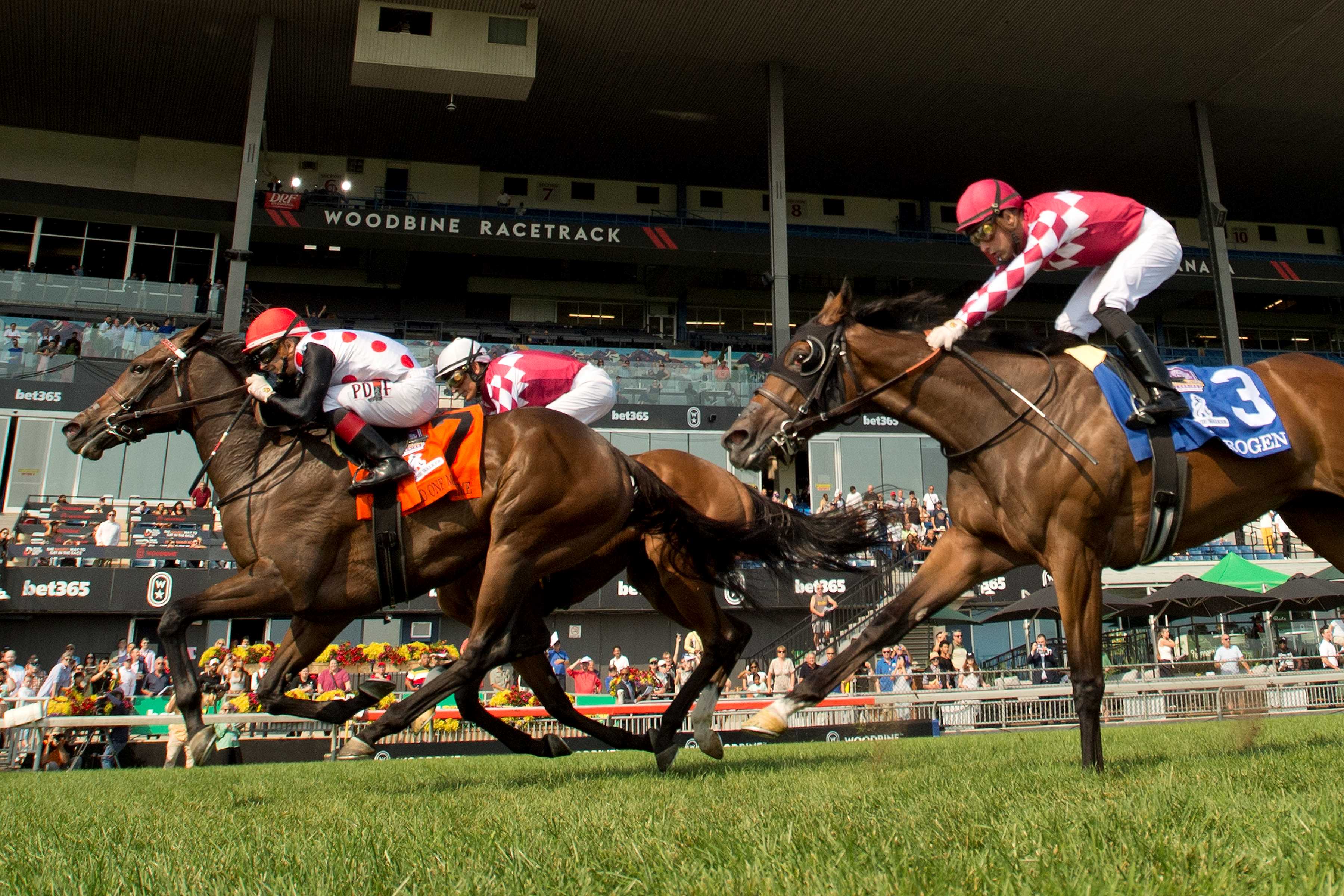 And One More Time and jockey Rafael Hernandez winning the Johnnie Walker Natalma Stakes (G1) on September 14, 2024 at Woodbine (Michael Burns Photo)