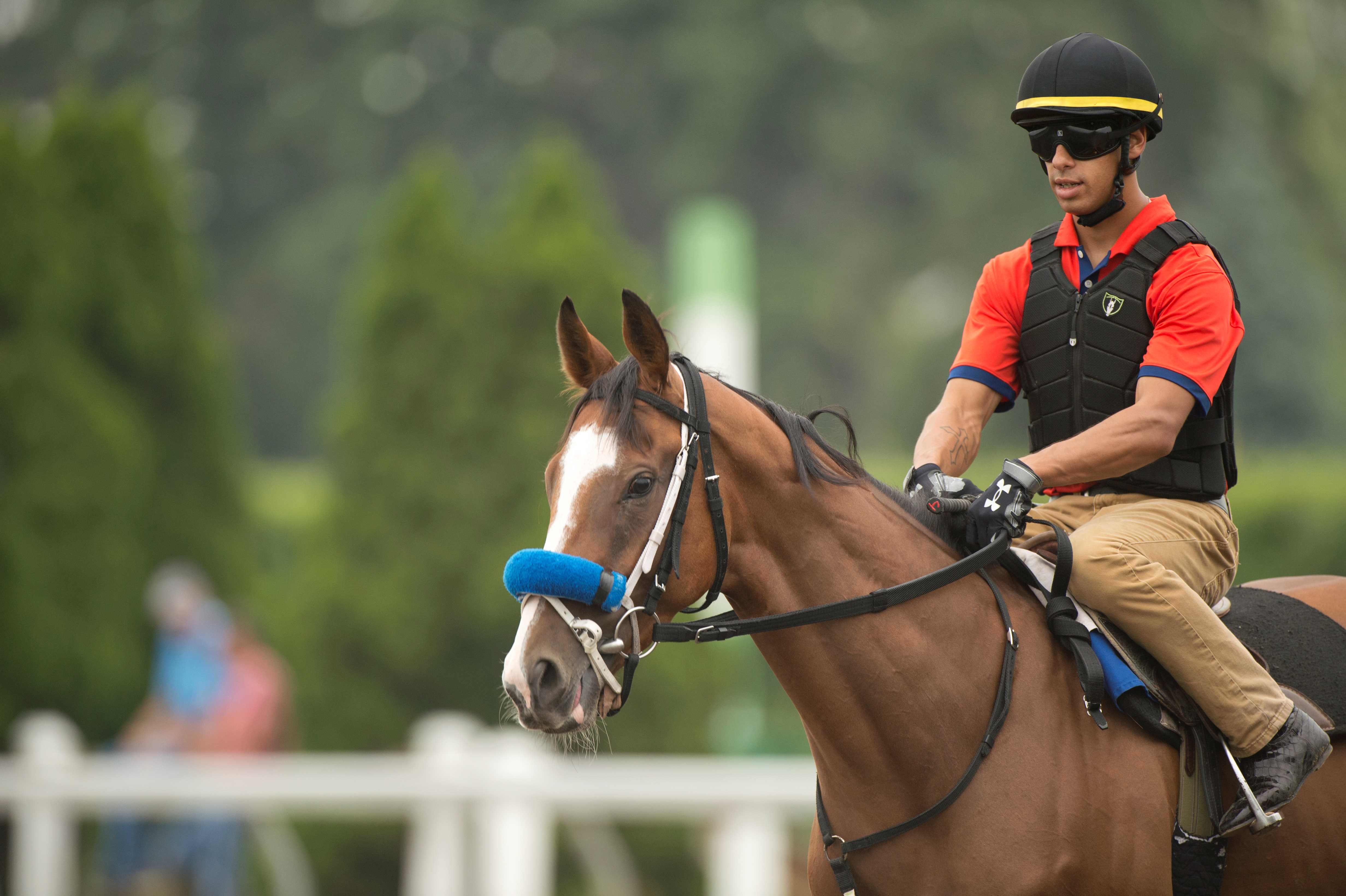 Thor's Cause training in Woodbine (photo by Michael Burns)