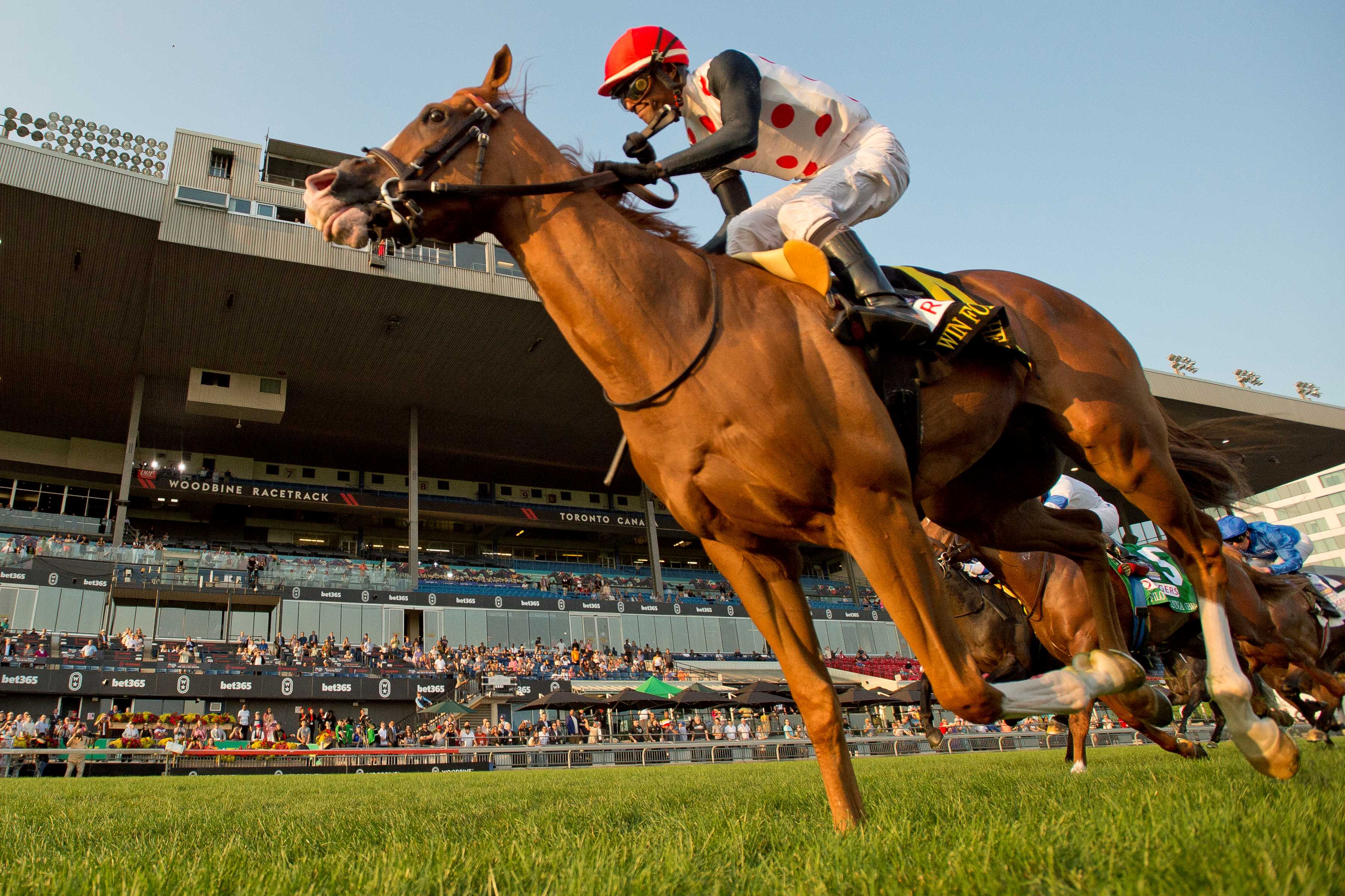 Win for the Money and jockey Patrick Husbands winning the Rogers Woodbine Mile (G1) on September 14, 2024 at Woodbine (Michael Burns Photo)