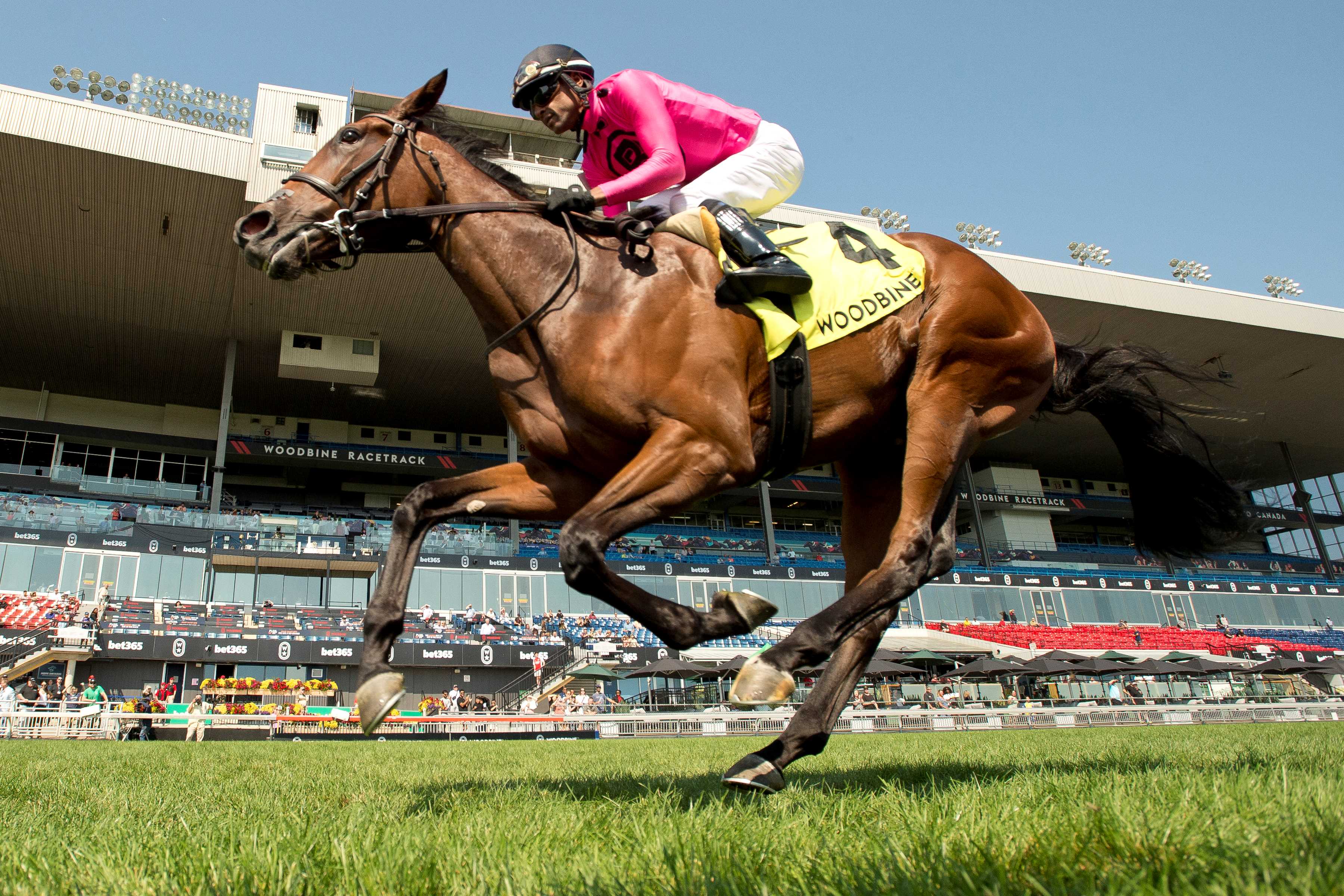 Souper Supreme and jockey Patrick Husbands winning the Victorian Queen on September 15, 2024 at Woodbine (Michael Burns Photo)