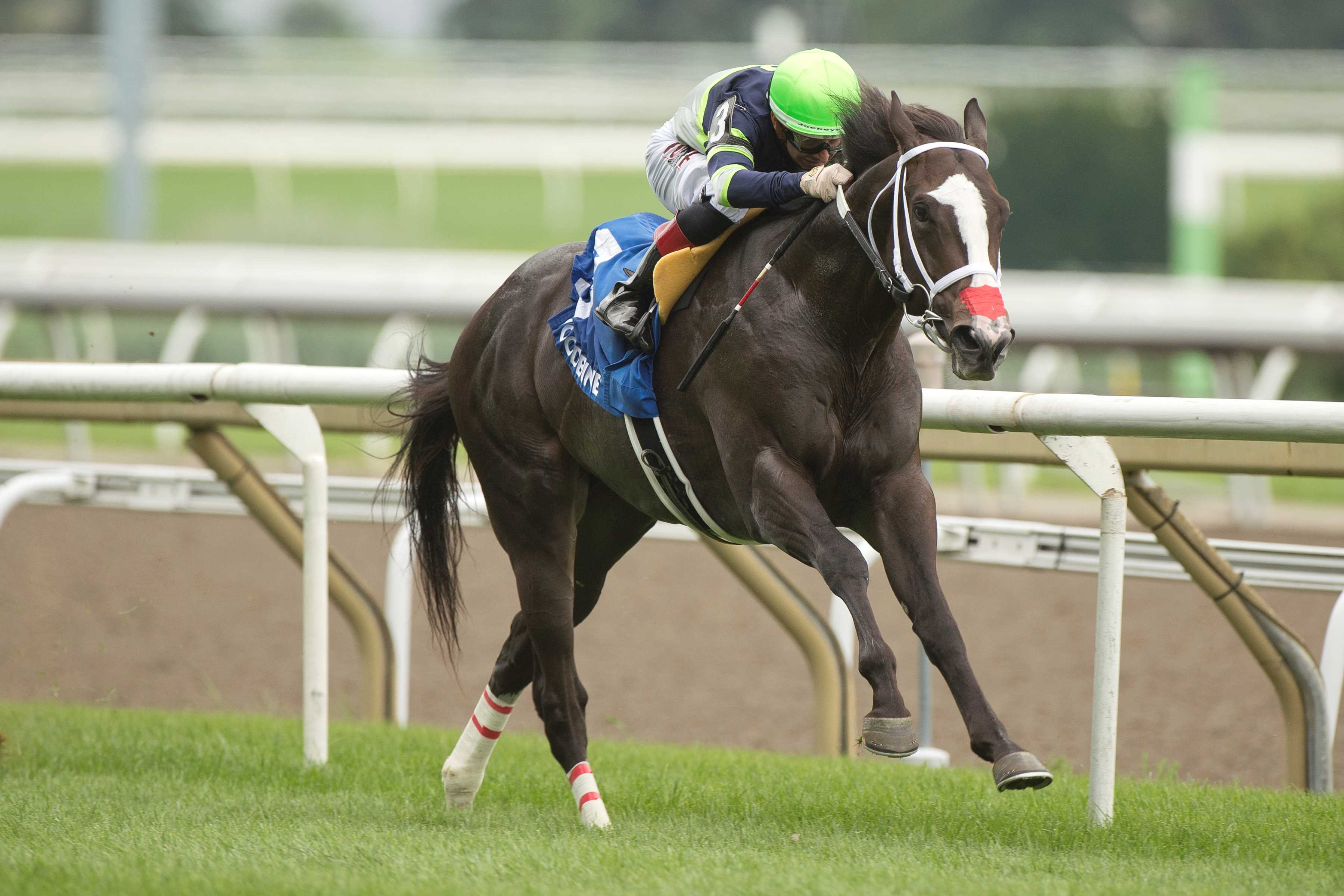 Live Lucky and jockey Rafael Hernandez winning the Lake Superior Stakes on August 4, 2024 at Woodbine (Michael Burns Photo)