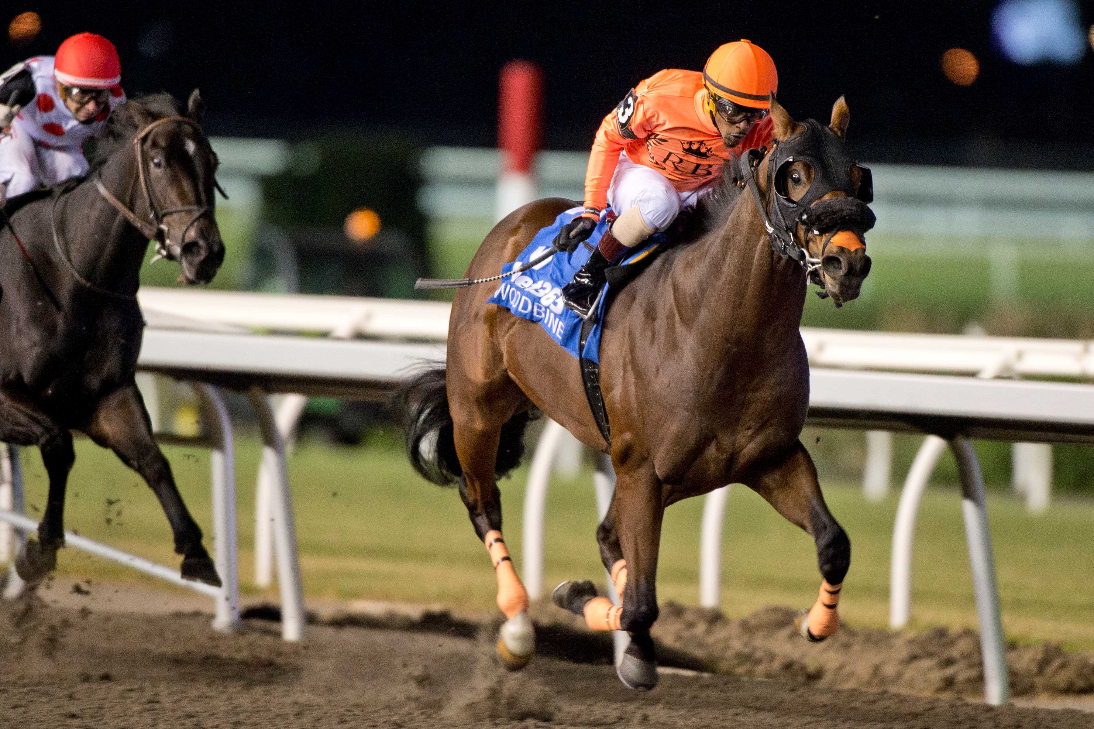 Wicked Django and jockey Keveh Nicholls winning the HPIbet Autumn Stakes (G2) at Woodbine (Michael Burns Photo)