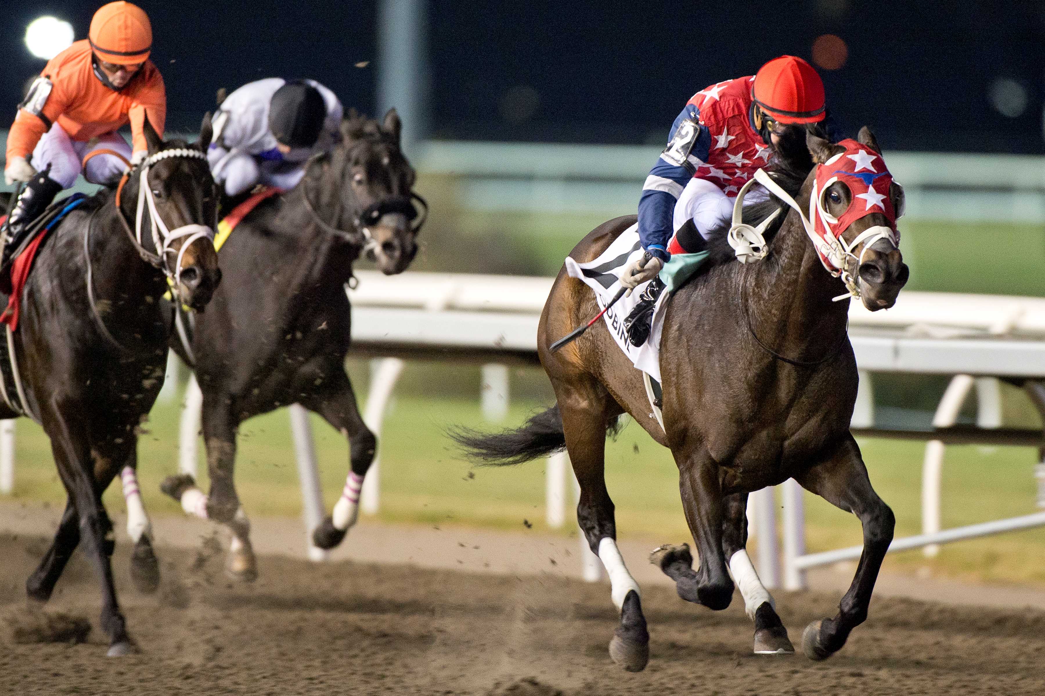 No More Options and jockey Ryan Munger winning the Lake Ontario Stakes on November 17, 2024 at Woodbine (Michael Burns Photo)