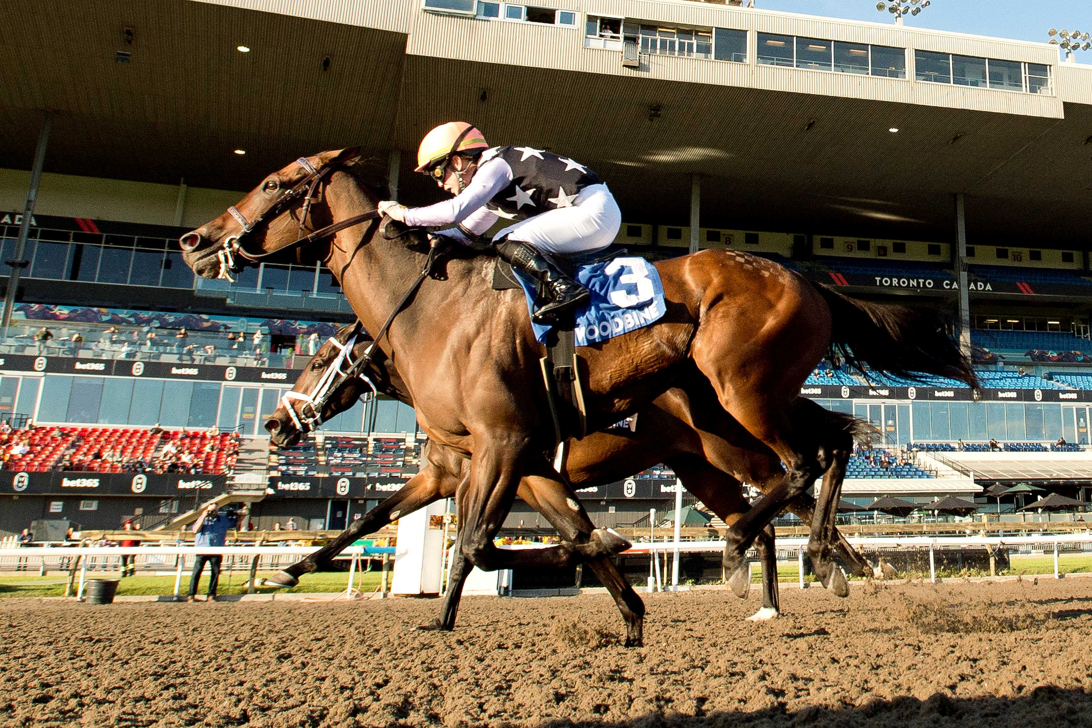 A Game and jockey Fraser Aebly winning the Ontario Fashion Stakes on October 12, 2024 at Woodbine (Michael Burns Photo)