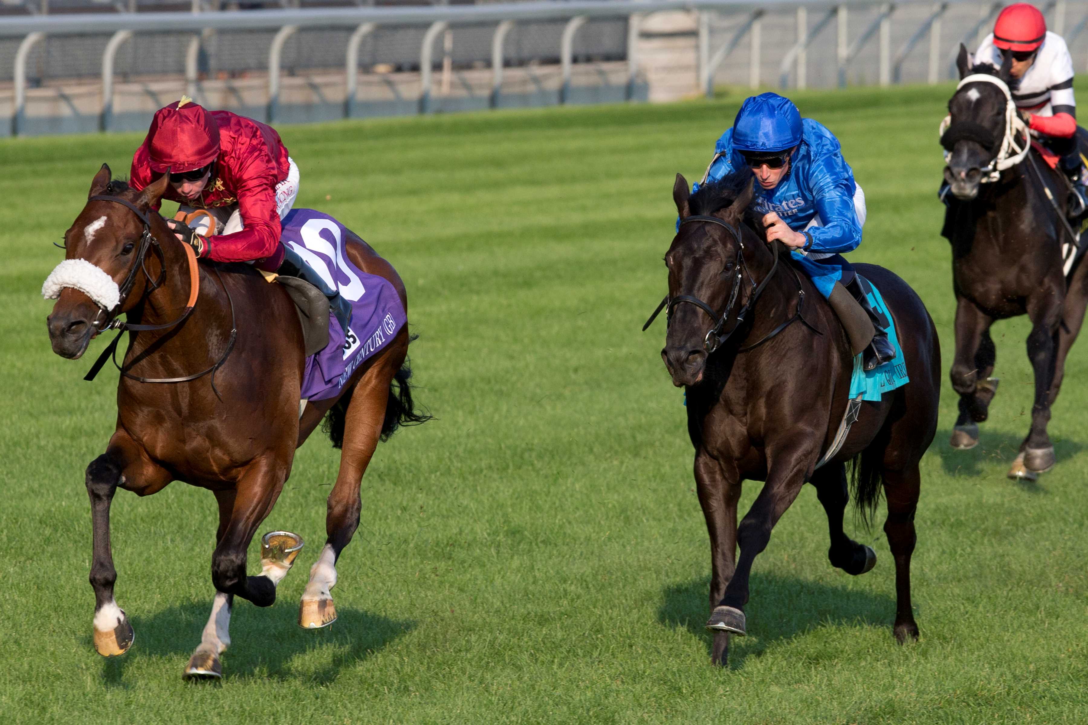 New Century (GB) and jockey Oisin Murphy winning the bet365 Summer Stakes (G1) on September 14, 2024 at Woodbine (Michael Burns Photo)