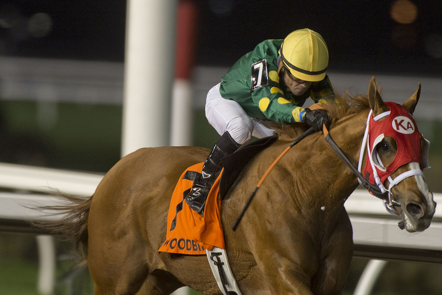 Amalfi Coast and jockey Justin stein winning the $100,000 Sweet Briar Twoo Stakes on Friday, Oct. 23 at Woodbine Racetrack. (Michael Burns Photo)