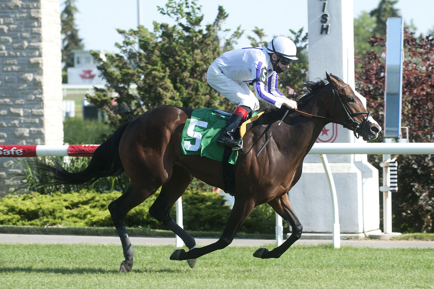 Another Time winning on June 12 at Woodbine Racetrack. (Michael Burns Photo)