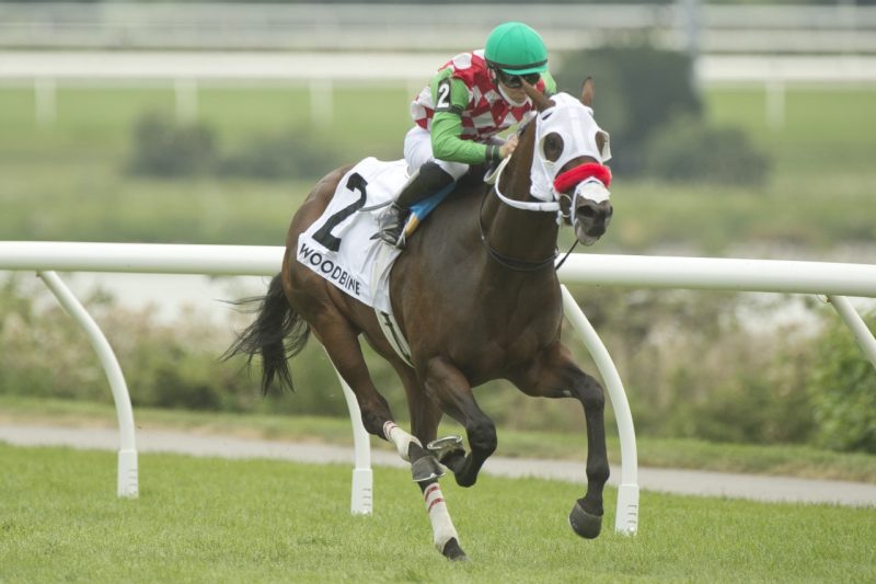 Artful Ballerina and Emma-Jayne Wilson winning Saturday's Georgian Bay Stakes.